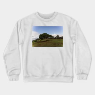 Tree Crewneck Sweatshirt